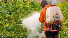 Domestic Pesticides