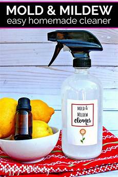 Bathroom Cleaner