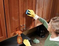 Cabinet Degreaser Cleaner