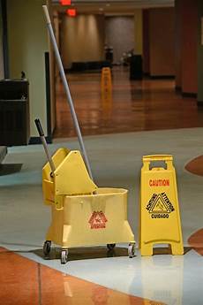 Carpet Cleaning Brushes