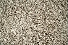 Carpet Cleaning Products