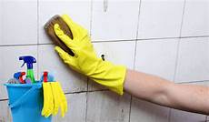 Cleaning Gloves