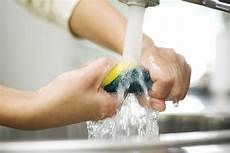 Cleaning Sponge