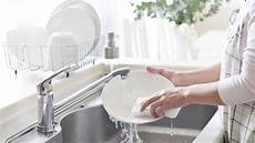 Cleaning Sponge