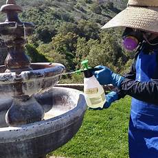 Fountain Cleaning