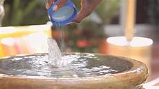 Fountain Cleaning