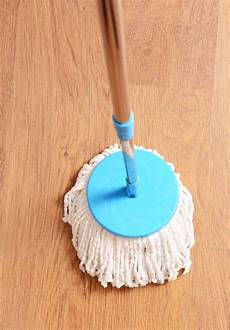 Hardwood Floor Mop