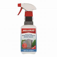 Headstone Cleaner
