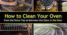 Hob Cleaner