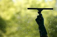 Home Carpet Cleaning