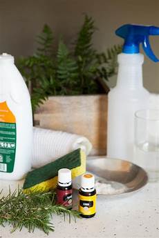 Homemade Kitchen Degreaser