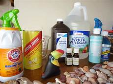 Homemade Kitchen Degreaser