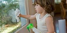 Homemade Window Cleaner