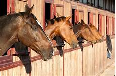 Horse Barn Disinfectants
