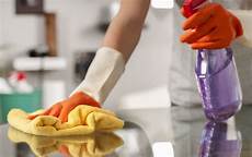 House Cleaner