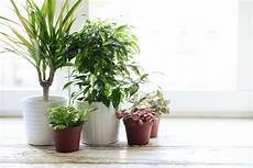 Industrial Cleaning And Hygiene Chemicals
