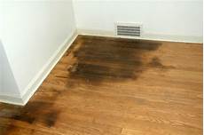 Kitchen Floor Cleaner