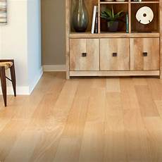 Laminate Floor Cleaner