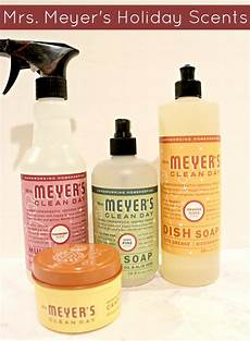 Meyer's Clean Day
