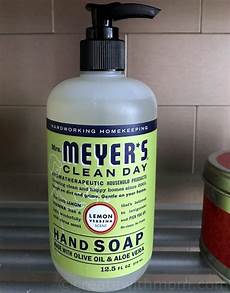 Meyer's Clean Day