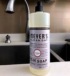 Meyer's Clean Day