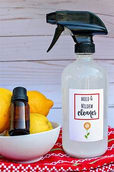 Mold Cleaner
