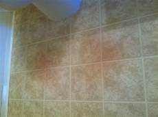 Pet Stain Remover