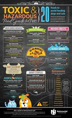 Poisonous Household Chemicals