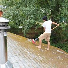 Roof Cleaner