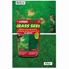 Seed Cleaning Plant