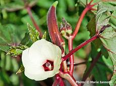 Seed Cleaning Plant