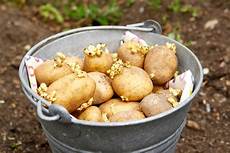 Seed Cleaning Plant