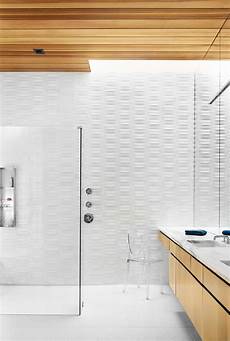 Shower Door Cleaner