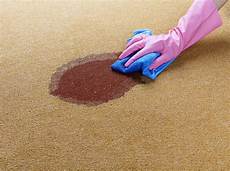 Spot Cleaning