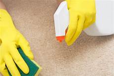 Spot Cleaning