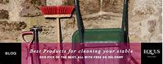 Stable Disinfectants