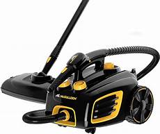 Steam Cleaner