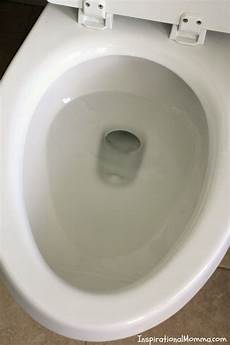 Toilet Bowl Brush