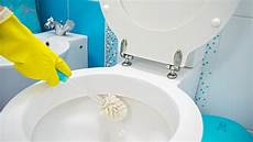 Toilet Bowl Brush