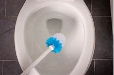 Toilet Bowl Brush