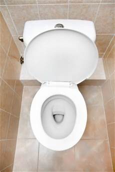 Toilet Bowl Cleaner