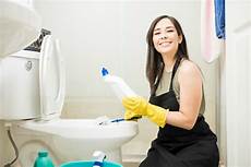 Toilet Bowl Cleaner