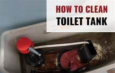 Toilet Cleaner