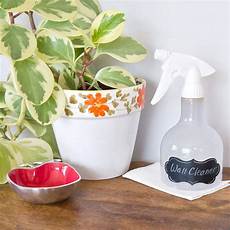 Unscented Household Cleaners