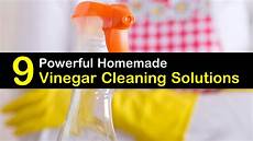 Vinegar Cleaning Solution