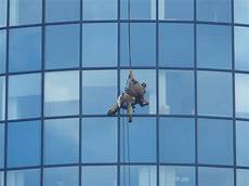 Window Cleaner